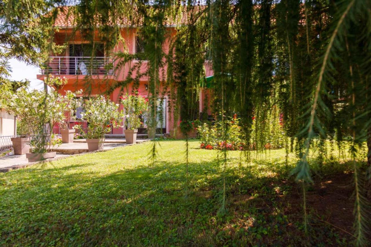 Studio 1 Golubac Bagian luar foto